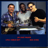 Little Charlie & The Nightcats - Night Vision '1993