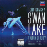 Valery Gergiev - Swan Lake (highlights) - Marinsky Theatre '2007