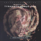 Steve Peregrine Took - The Missing Link To Tyrannosaurus Rex '1995