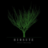 Hirsute - Still Waiting '2014