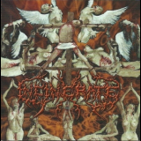 Incinerate - Dissecting The Angels '2002