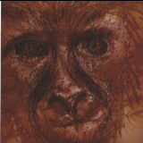 Critical Monkey - Failure Of An Intelligent Design '2006