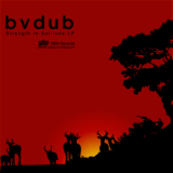 Bvdub - Strength In Solitude LP '2007
