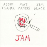 Assif Tsahar, Mat Maneri & Jim Black - JAM '2003
