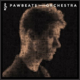 Pawbeats - Orchestra '2016