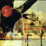 William Parker Quartet - Raining On The Moon '2002