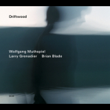 Wolfang Muthspiel, Larry Grenadier & Brian Blade - Driftwood '2014