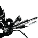 Intramural - This Is A Landslide '2007