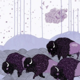 Shels - Plains Of The Purple Buffalo '2011