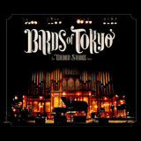 Birds Of Tokyo - The Broken Strings Tour (2CD) '2010