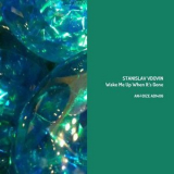 Stanislav Vdovin - Wake Me Up When It's Gone '2014