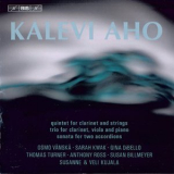 Aho - Clarinet Quintet; Sonata For Two Accordions '2012