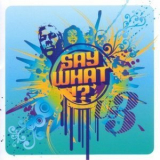 Us3 - Say What!? '2007