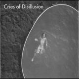 Assif Tsahar, Ori Kaplan, Daniel Sarid, Oded Goldshmidt, Bob Mayer - Cries Of Disillusion '2001