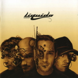 Liquido - Zoomcraft '2008