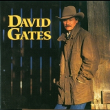 David Gates - Love Is Always Seventeen '1994