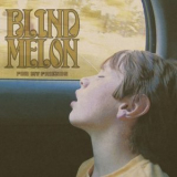 Blind Melon - For My Friends '2008