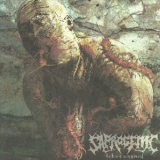 Saprogenic - Ichneumonid '2006