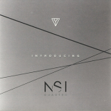 NSI Quartet - Introducing '2013