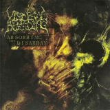 Visceral Bleeding - Absorbing The Disarray '2007