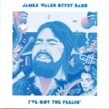 James Walsh Gypsy Band - I've Got The Feelin' '1979
