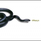 Slitheryn - Slitheryn '2002