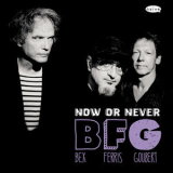 Bfg - Now Or Never '2013