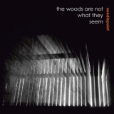 Needlepoint - The Woods Are Not What They Seem '2010