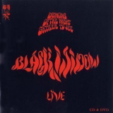 Black Widow - Live '2007