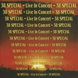 38 Special - Live In Concert '1991
