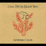 Graham Coxon - Crow Sit On Blood Tree '2001