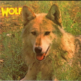 Darryl Way's Wolf - Canis Lupus '1973