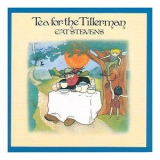 Cat Stevens - Tea For The Tillerman '2000