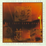 Trey Gunn - The Joy Of Molybdenum '2000