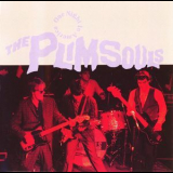 The Plimsouls - One Night In America '1981