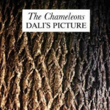 Chameleons - Dali's Picture '1982