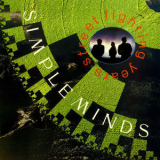 Simple Minds - Street Fighting Years '1989