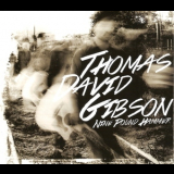 Thomas David Gibson - Nine Pound Hammer '2013