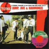 Teenage Shutdown - Jump, Jive & Harmonize '1967