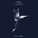 Robse - Colibri '2017