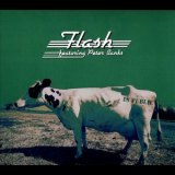 Flash (featuring Peter Banks) - In Public '2013