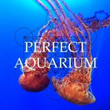 Perfect Aquarium - Perfect Aquarium '2015