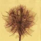 Aim - Spirits Of Your Tide '2008