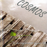 Cosmos - The Deciding Moments Of Your Life '1995