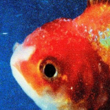 Vince Staples - Big Fish Theory '2017