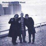Medeski Martin & Wood - It's A Jungle In Here '1993