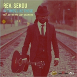 Rev. Sekou - In Times Like These '2017