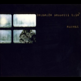 Bernardo Sassetti Trio2 - Ascent '2005