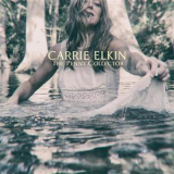 Carrie Elkin - The Penny Collector '2017