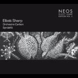 Elliott Sharp & Orchestra Carbon - Syndakit '2007